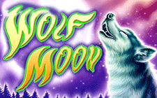 La slot machine Wolf Moon
